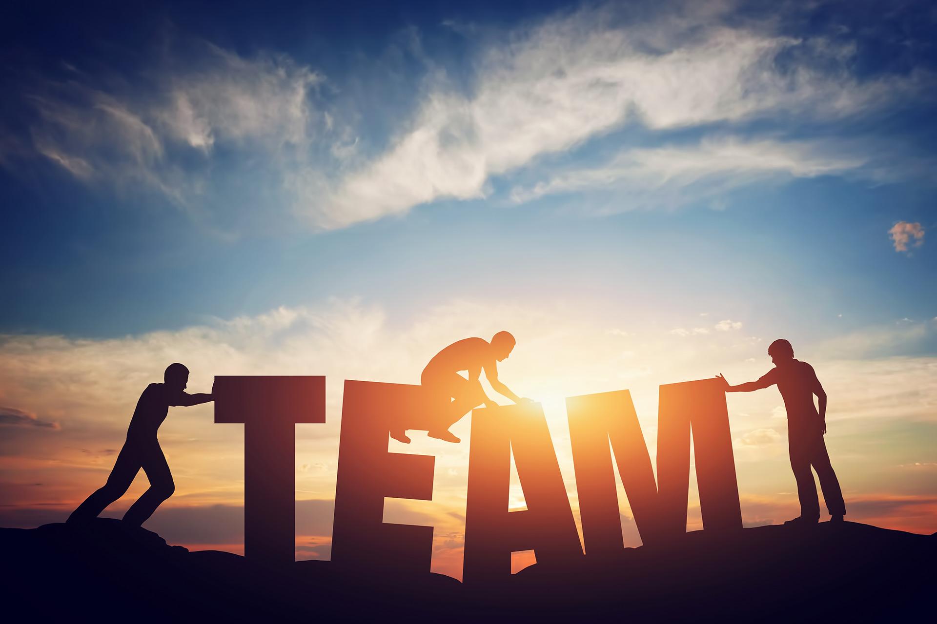 Our Team